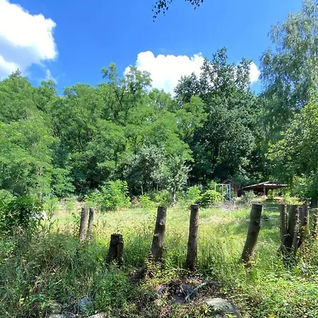 Gemuetliches Haus Im Gruenen In Nfo *