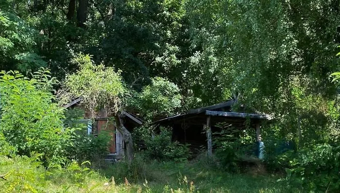Gemuetliches Haus Im Gruenen In Nfo Casa de Férias Niederfinow